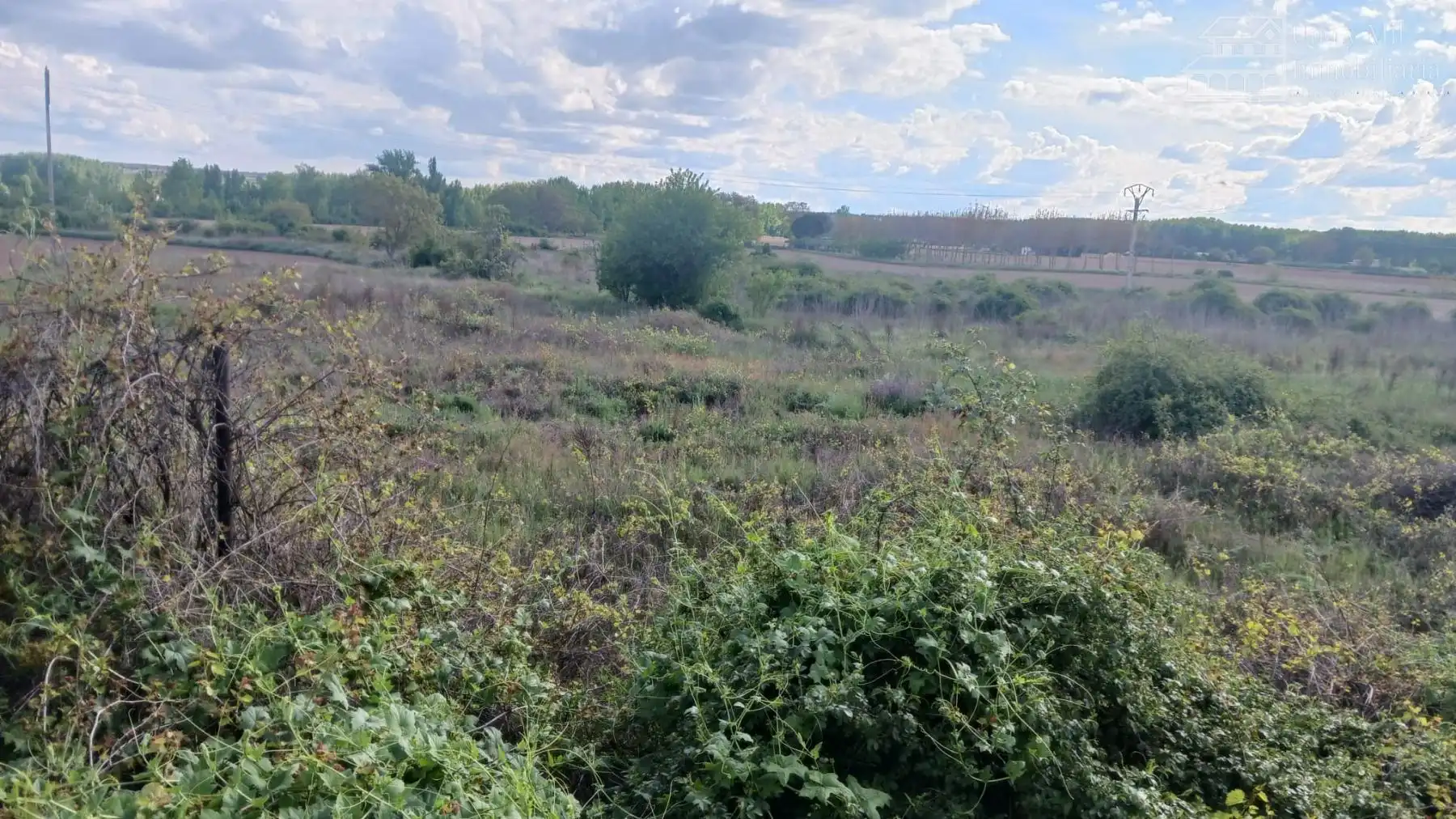 Lands and plots for sale in Valverdón, imagen 14