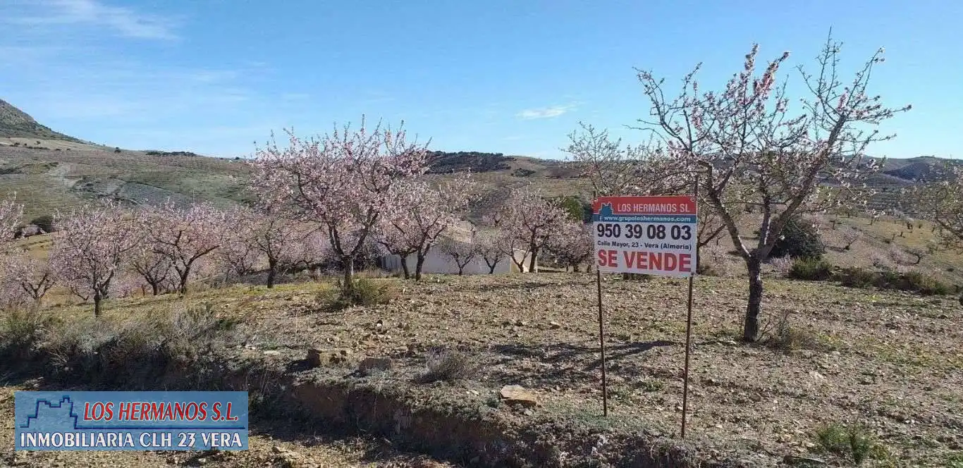 Finca rústica en venta en Vélez-Rubio