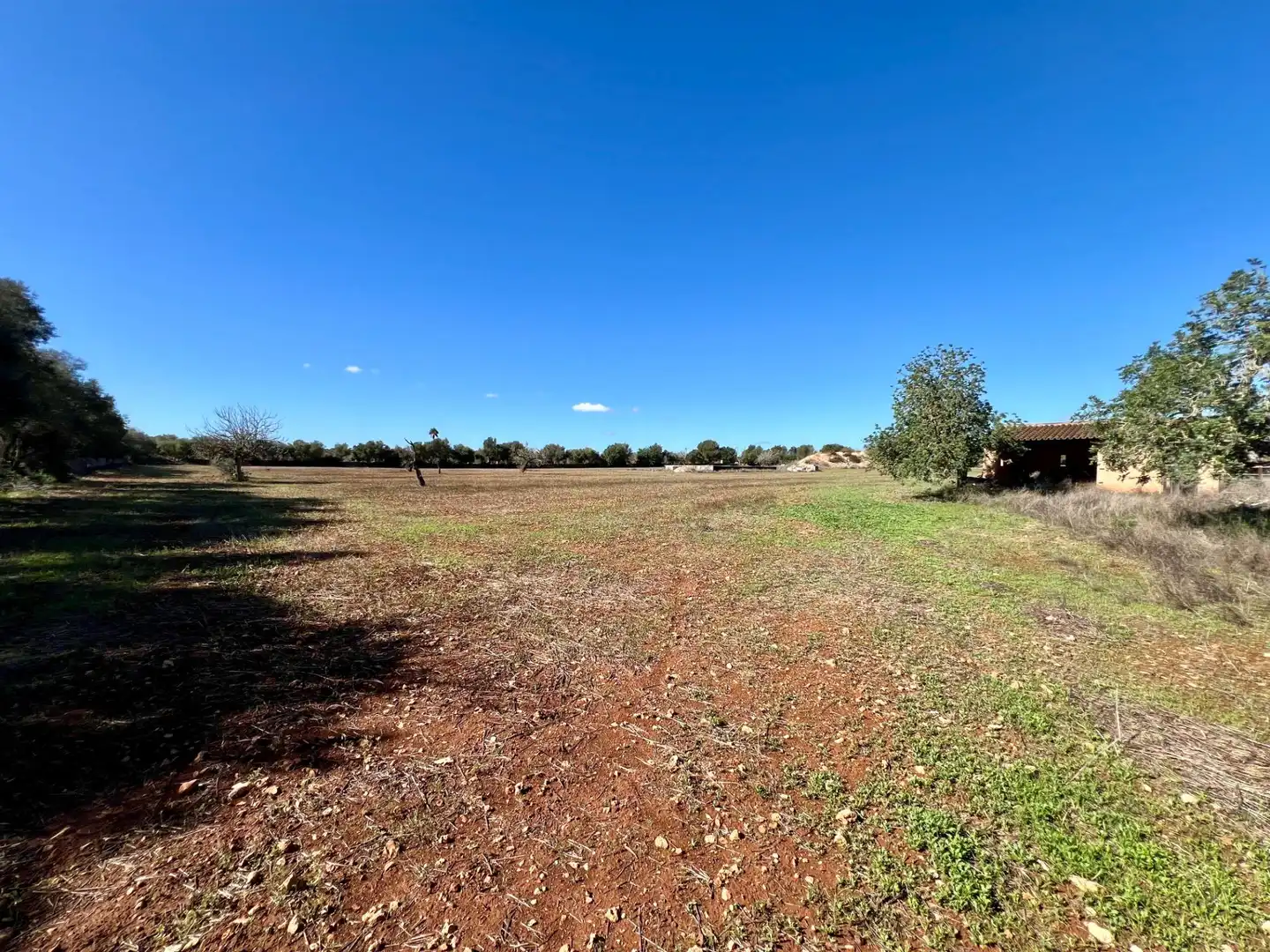 Lands and plots for sale in Zona Rústica - Interior, imagen 9