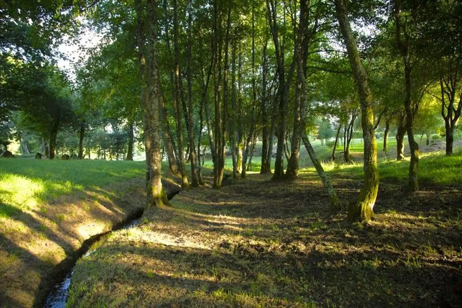 Vista exterior de Finca rústica en venda en Castroverde amb Aire condicionat, Jardí privat i Terrassa