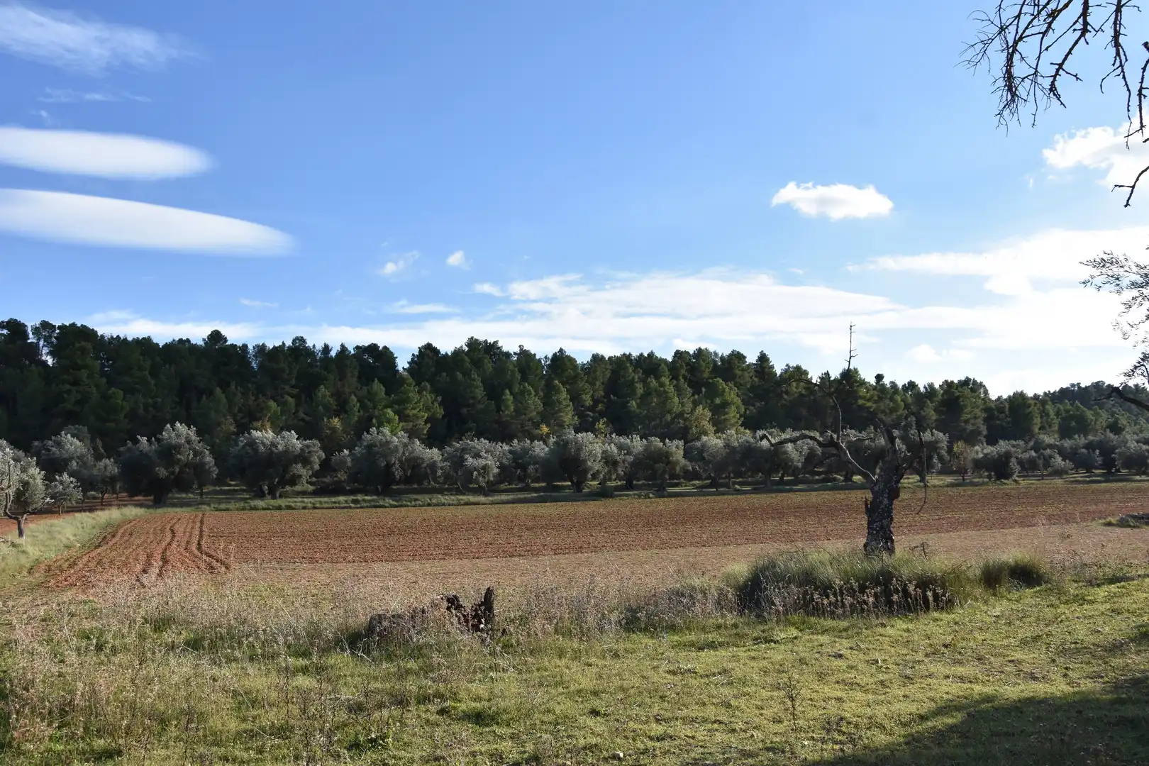 Terreny rústic en venda a Arnes, imagen 3