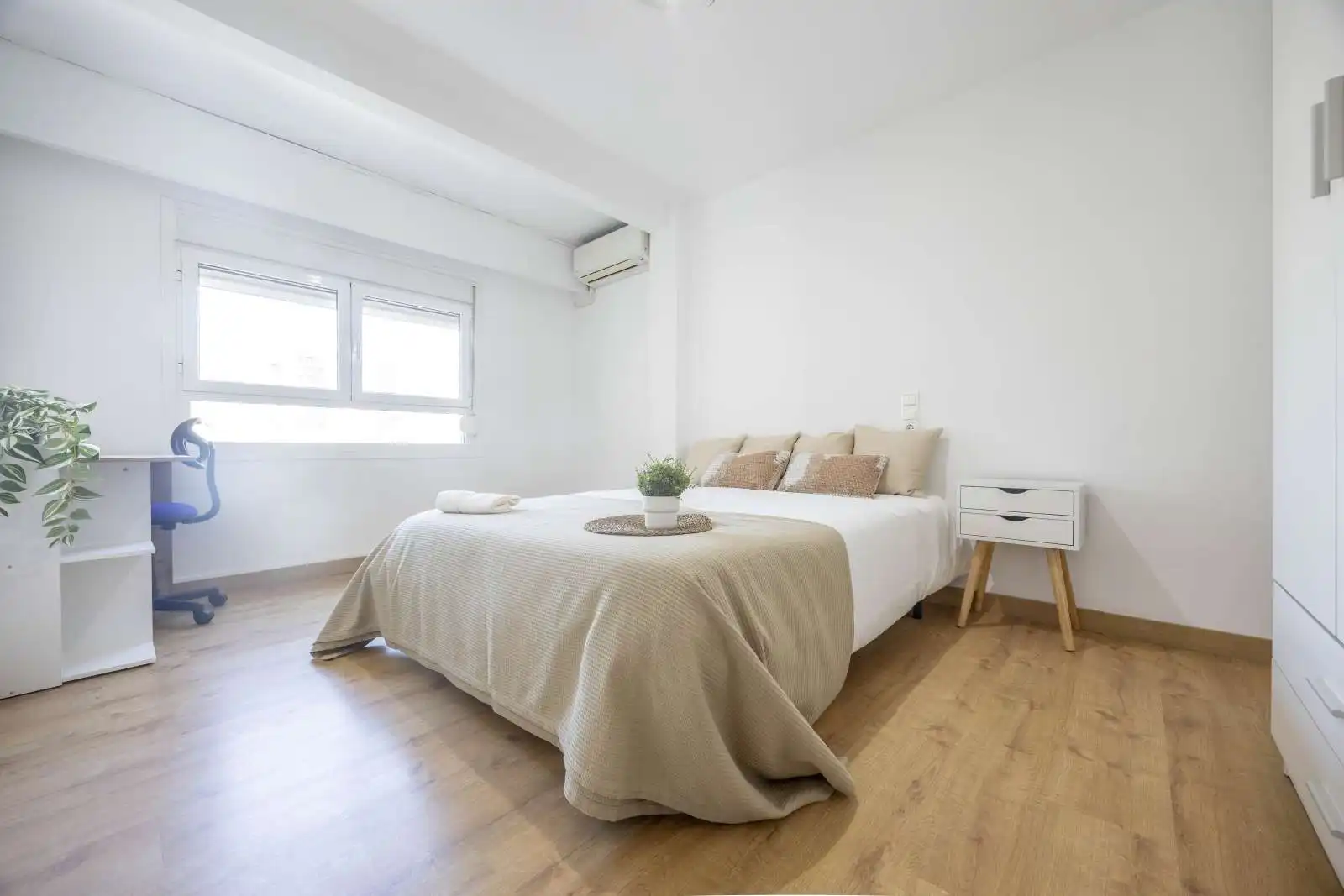 Room in Jaume Roig