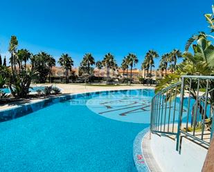 Swimming pool of Attic for sale in El Ejido  with Terrace and Community pool
