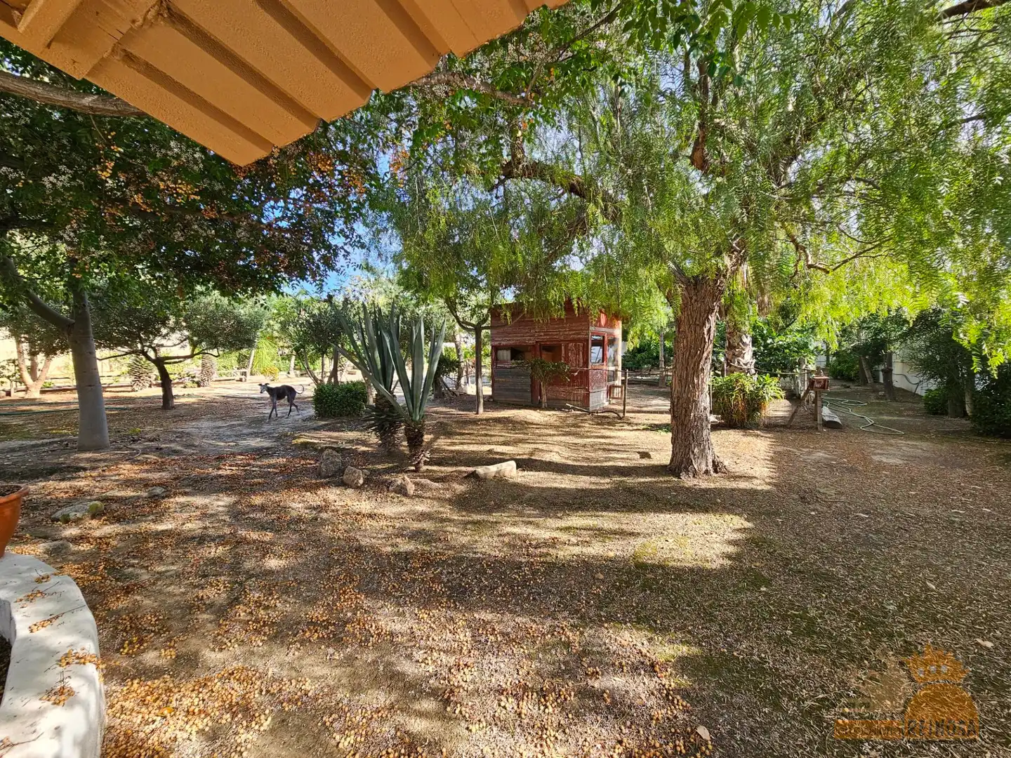 Casa o xalet en venda en Molina de Segura amb Aire condicionat, Calefacció i Jardí privat