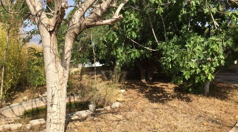 Foto 5 de Casa o chalet en venta en Xirles, Polop