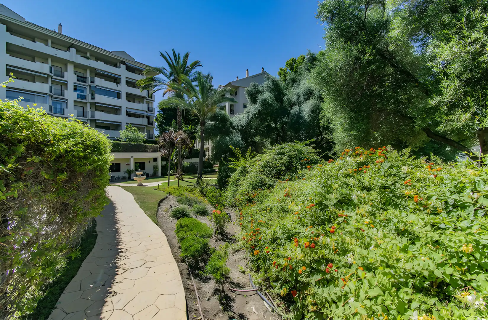 Apartament amb piscina en venda a San Pedro de Alcántara, imagen 16
