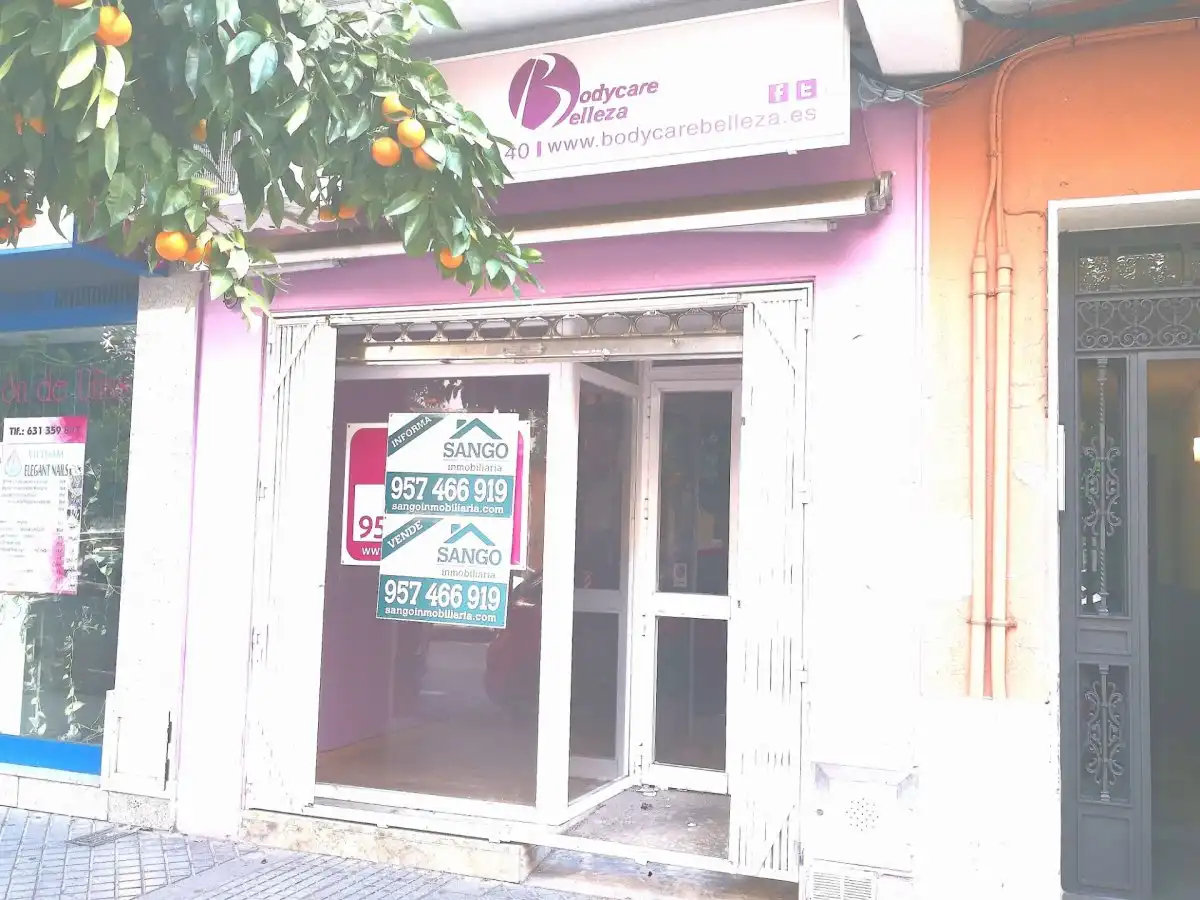 Business premises for sale in Poniente-Sur, imagen 14