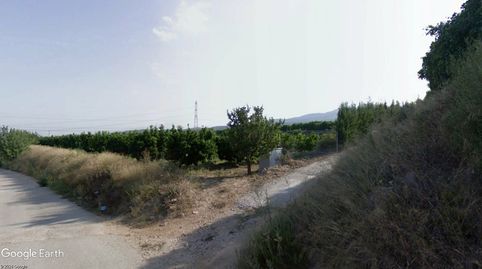 FINCA REGADÍO CON PLANTACIÓN DE CAQUÍS, immagine 2