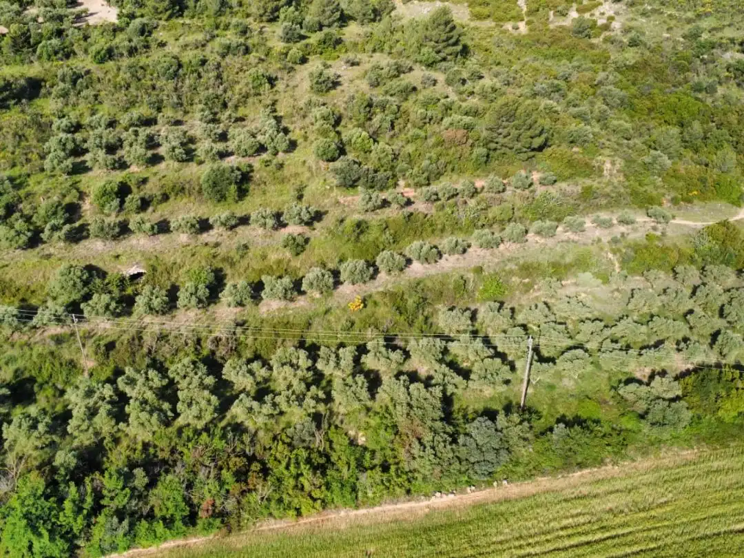 Terreno rustico in vendita a N-IIa 11, imagen 7
