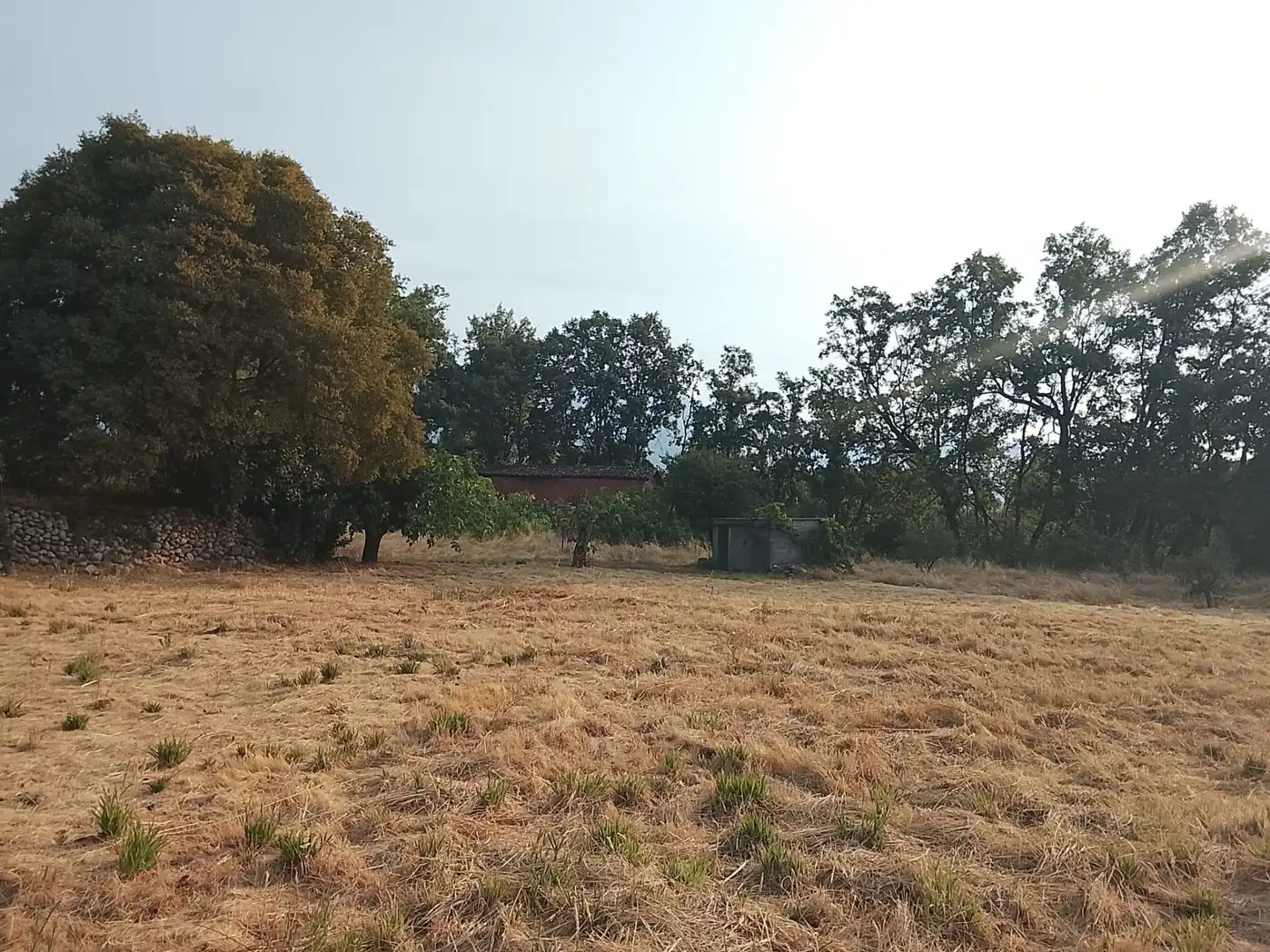 Terreni e lotti in vendita a Villanueva de la Vera, imagen 3