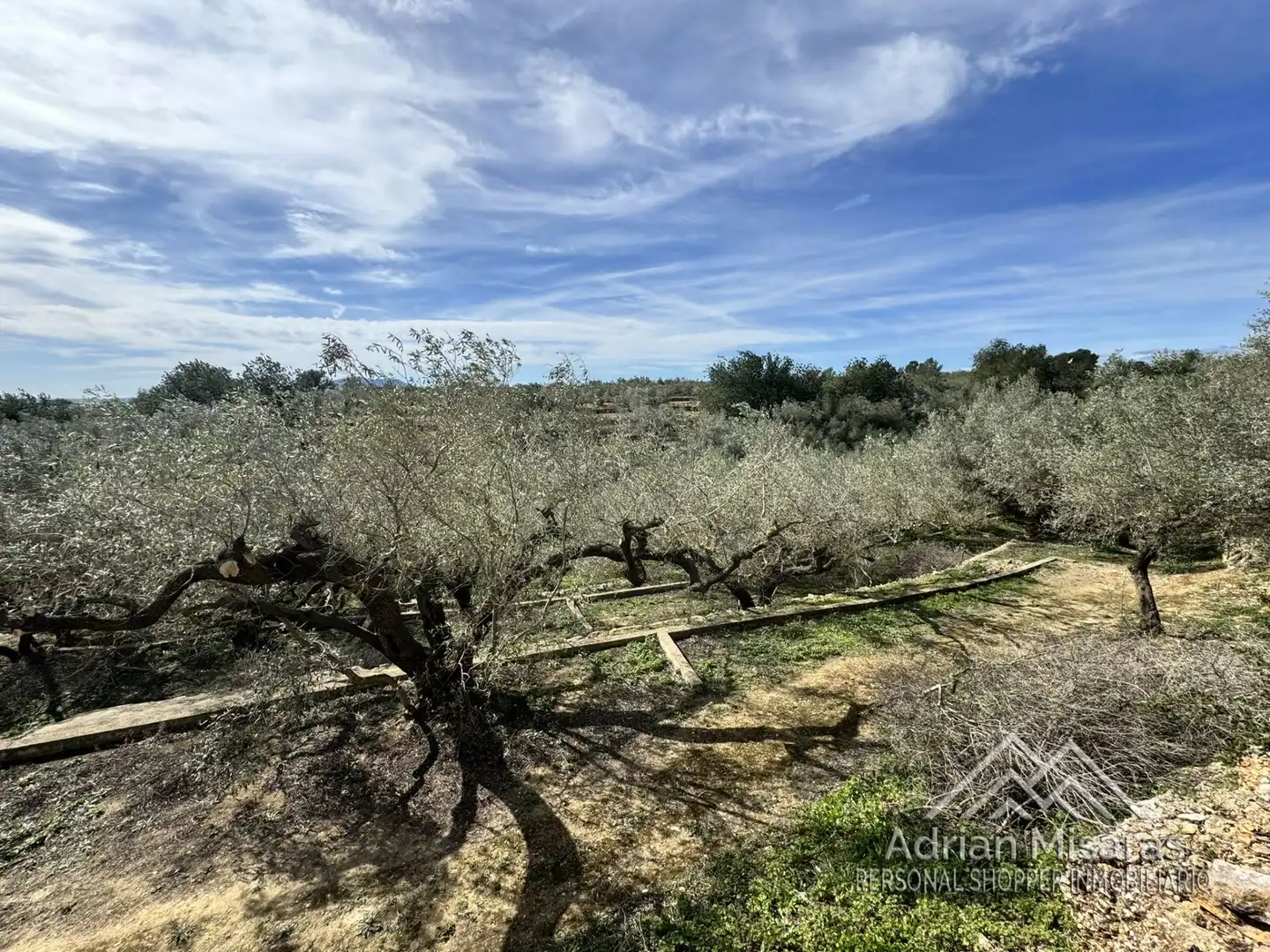 Terreno rústico en venta en L'Aldea, imagen 17
