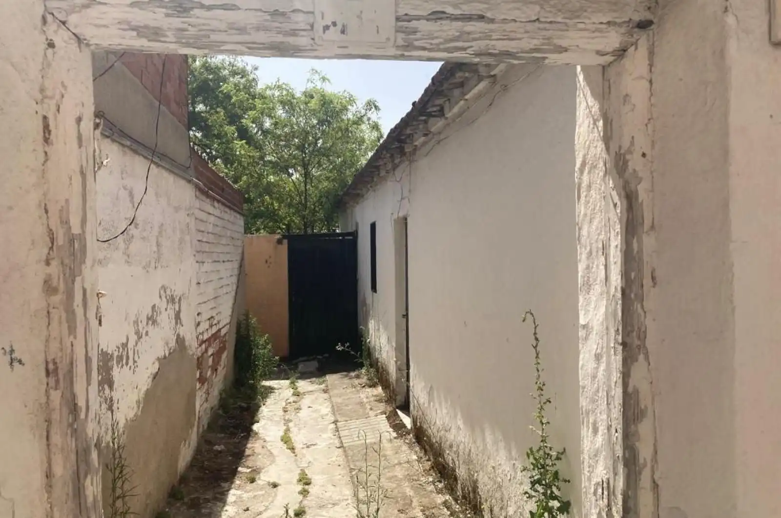 Exterior view of Houses for sale in Griñón