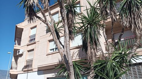Photo 4 of Flat for sale in Descubrimiento , Santo Domingo, El Ejido