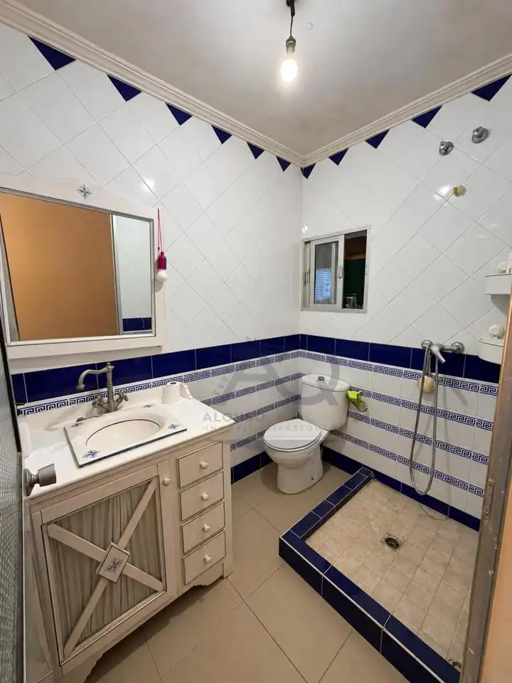 Casa rustica in vendita a Los Palacios y Villafranca, imagen 11