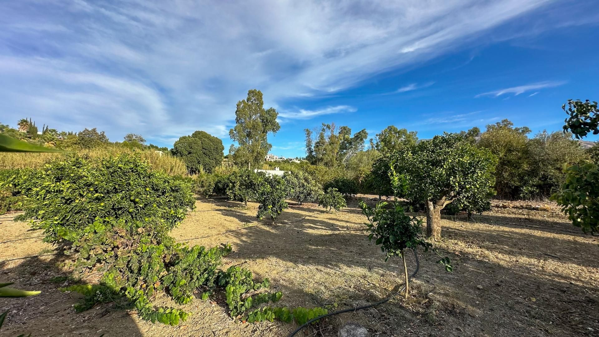 Residential for sale in Alhaurín El Grande