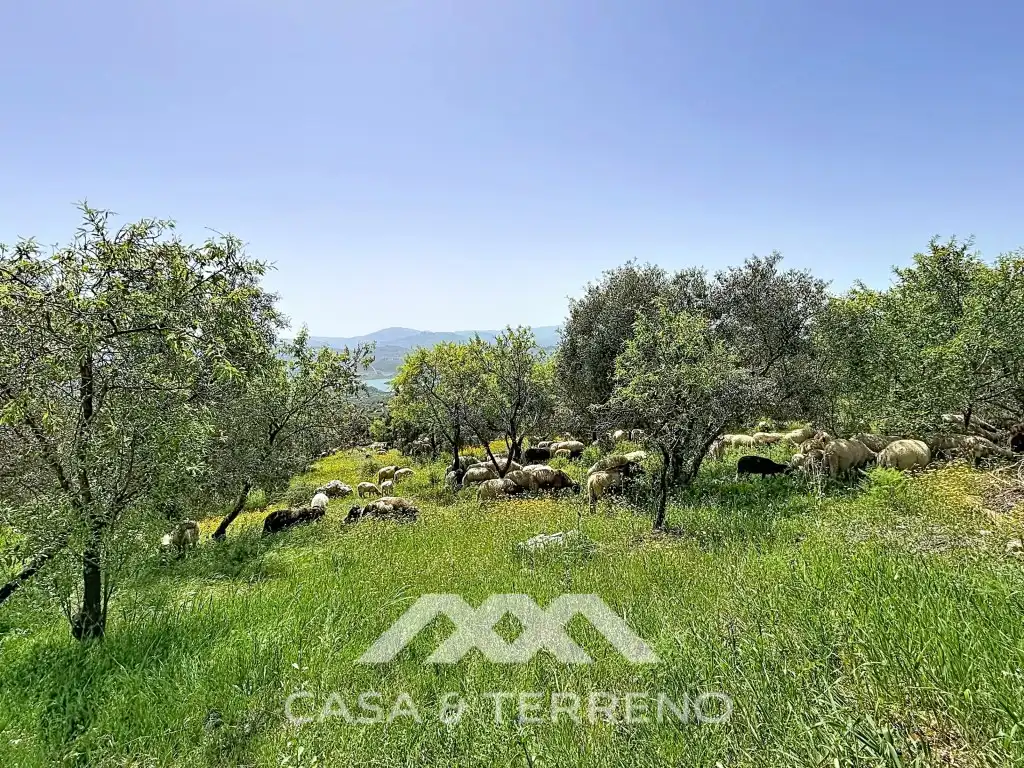Casa o chalet en venta en Alcaucín con Aire acondicionado, Calefacción y Jardín privado