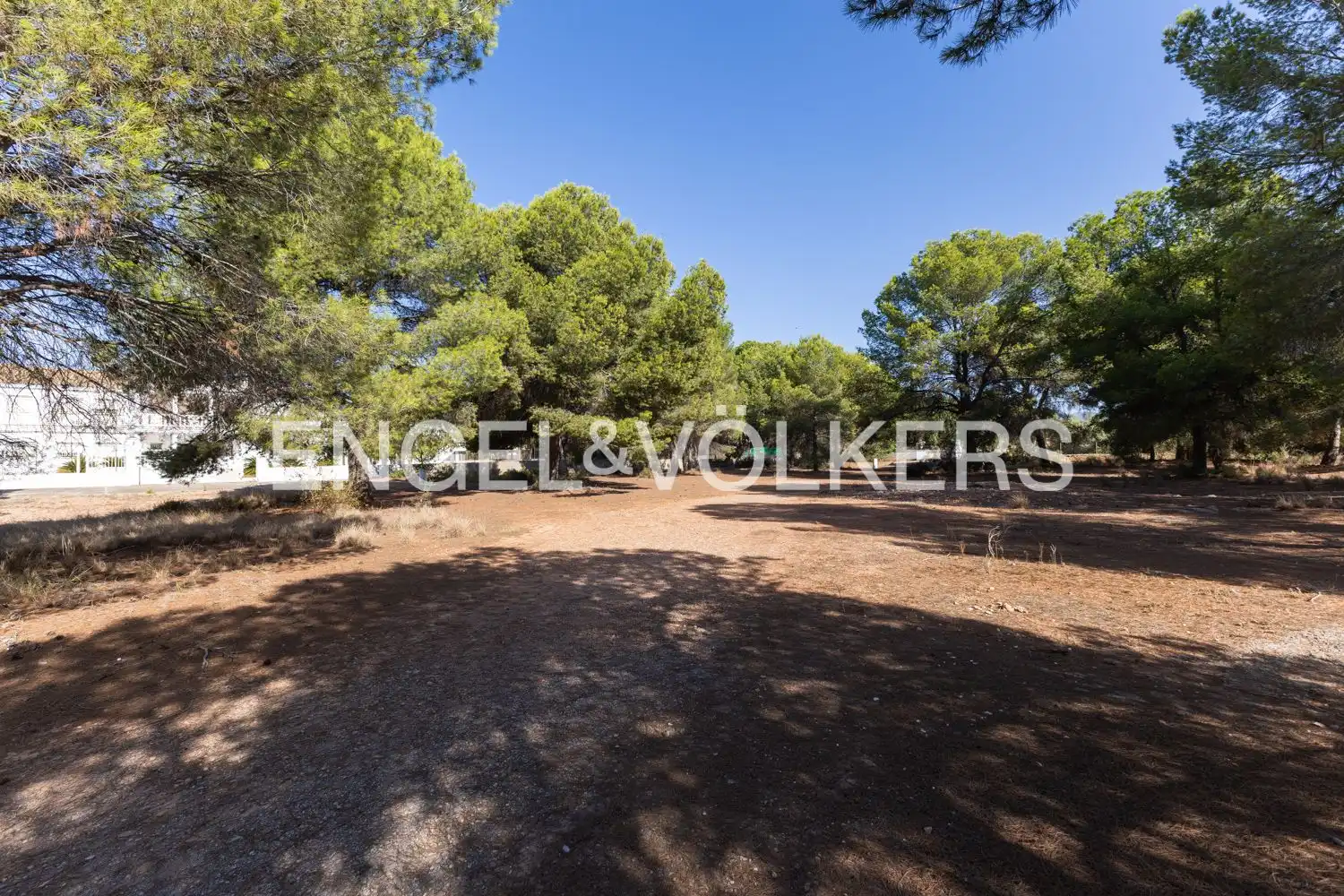 Casa con terrazza in vendita a Los Pinares - La Masia, imagen 26