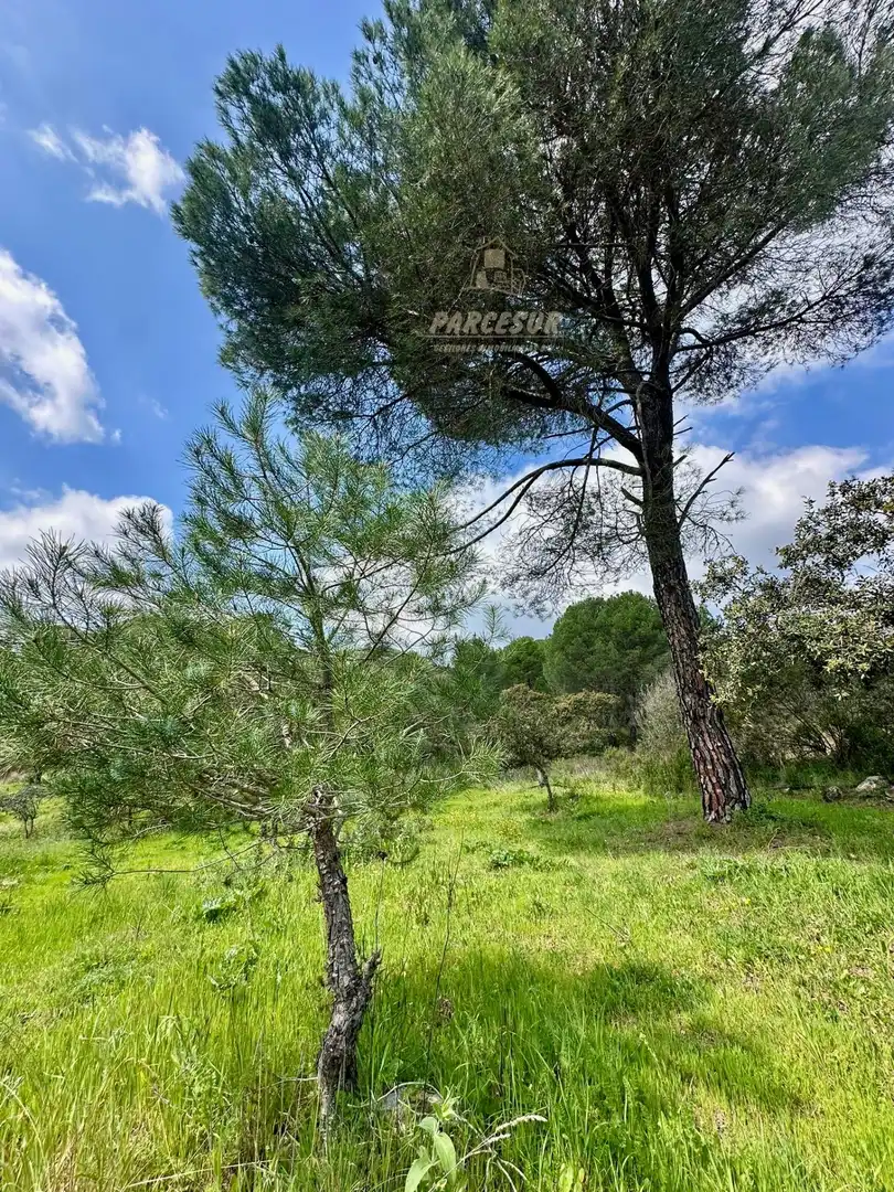 Casa rústica en venda a Periurbano Oeste - Sierra, imagen 3