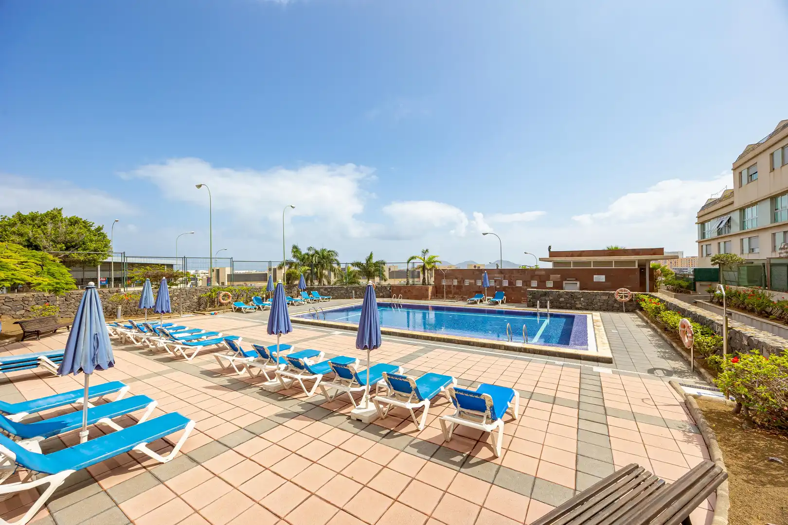 Swimming pool of Flat for rent in Las Palmas de Gran Canaria