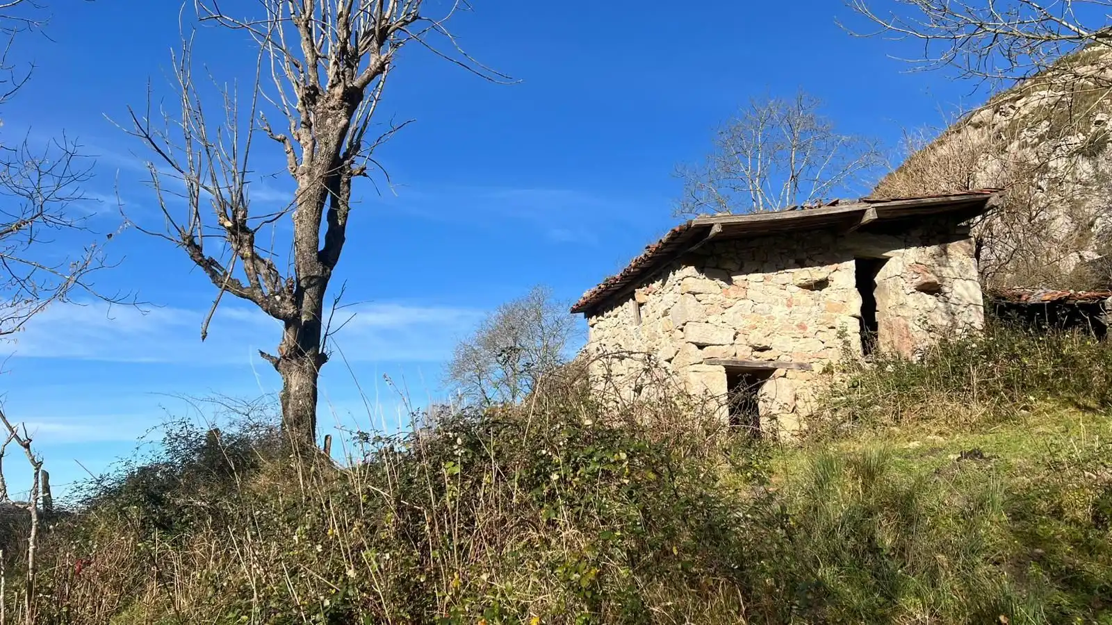 Terreno rustico in vendita a Cangas de Onís, imagen 7