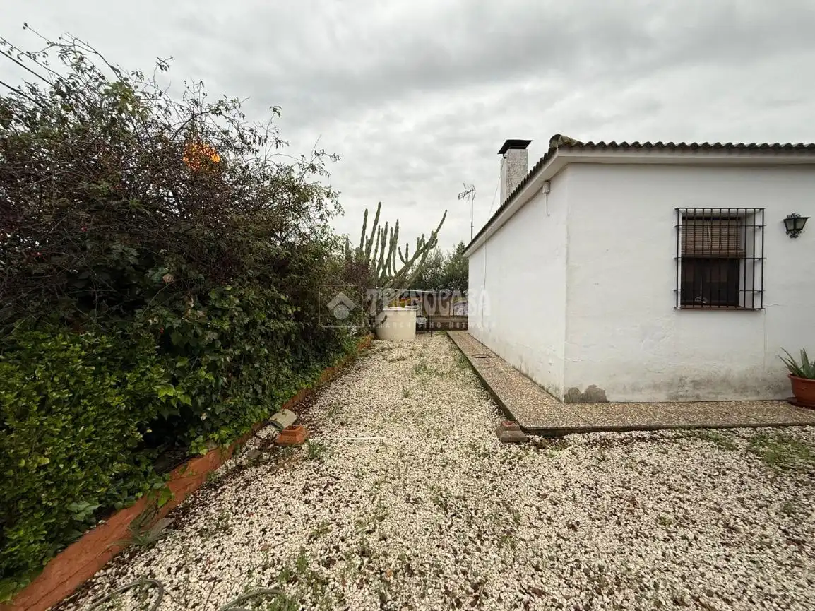 Finca rústica en venta en Los Eucaliptos, La Carlota