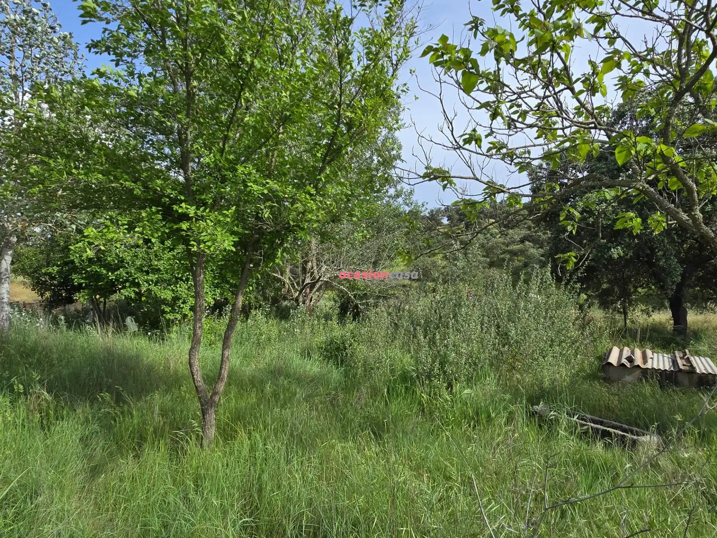 Casa o xalet en venda en Alcaracejos