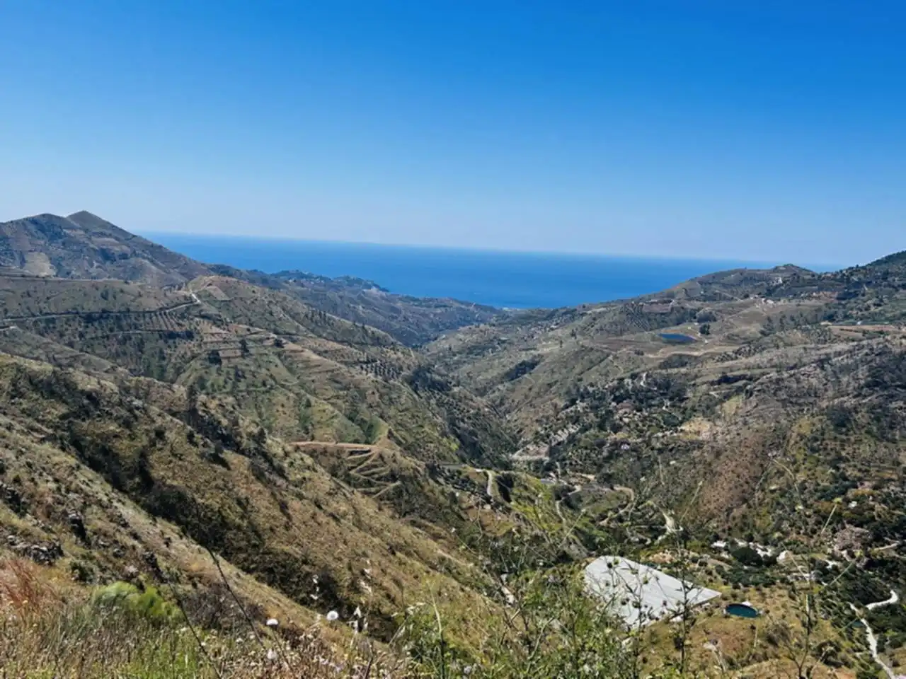 Vista exterior de Finca rústica en venta en Almuñécar