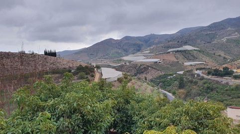 ItraboFinca Rustica, image 2