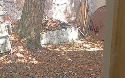 Foto 3 de Casa o xalet en venda a Sevilla, Utrillas, Teruel