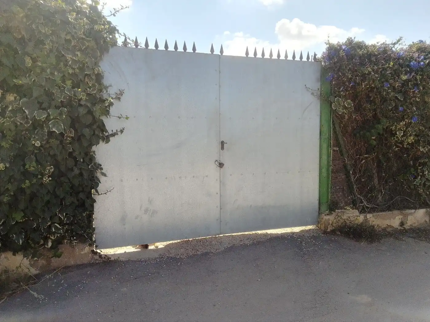 Jardí de Casa o xalet en venda en Torre-Pacheco amb Terrassa, Traster i Piscina