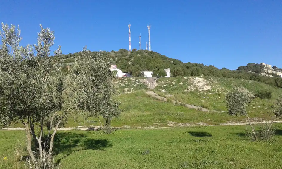 Terrenys i solars en venda a C/ Sect ES-SUS 1.4, imagen 7