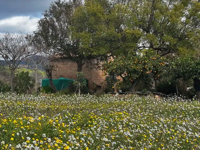 Terrenys i solars en venda a del Molí de Vent (CLOTA P45 P10), imagen 30