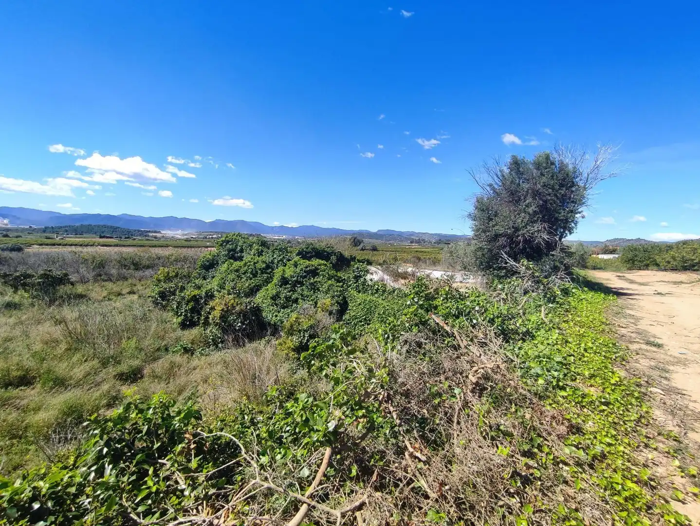 Rural land for sale in Onda, imagen 4