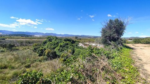 FINCA DE NARANJOS, imagen 4