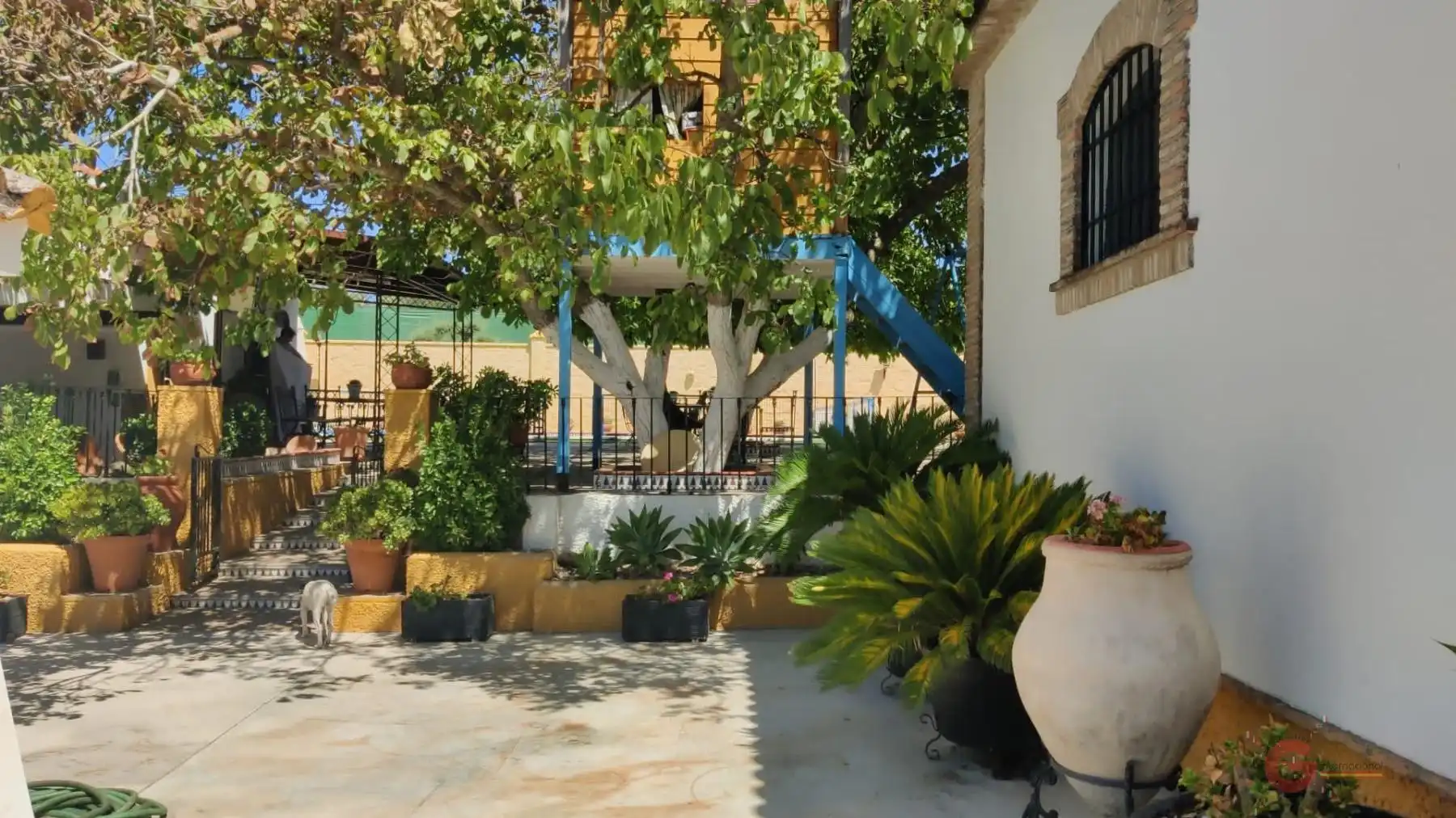Casa o chalet en venta en Montilla