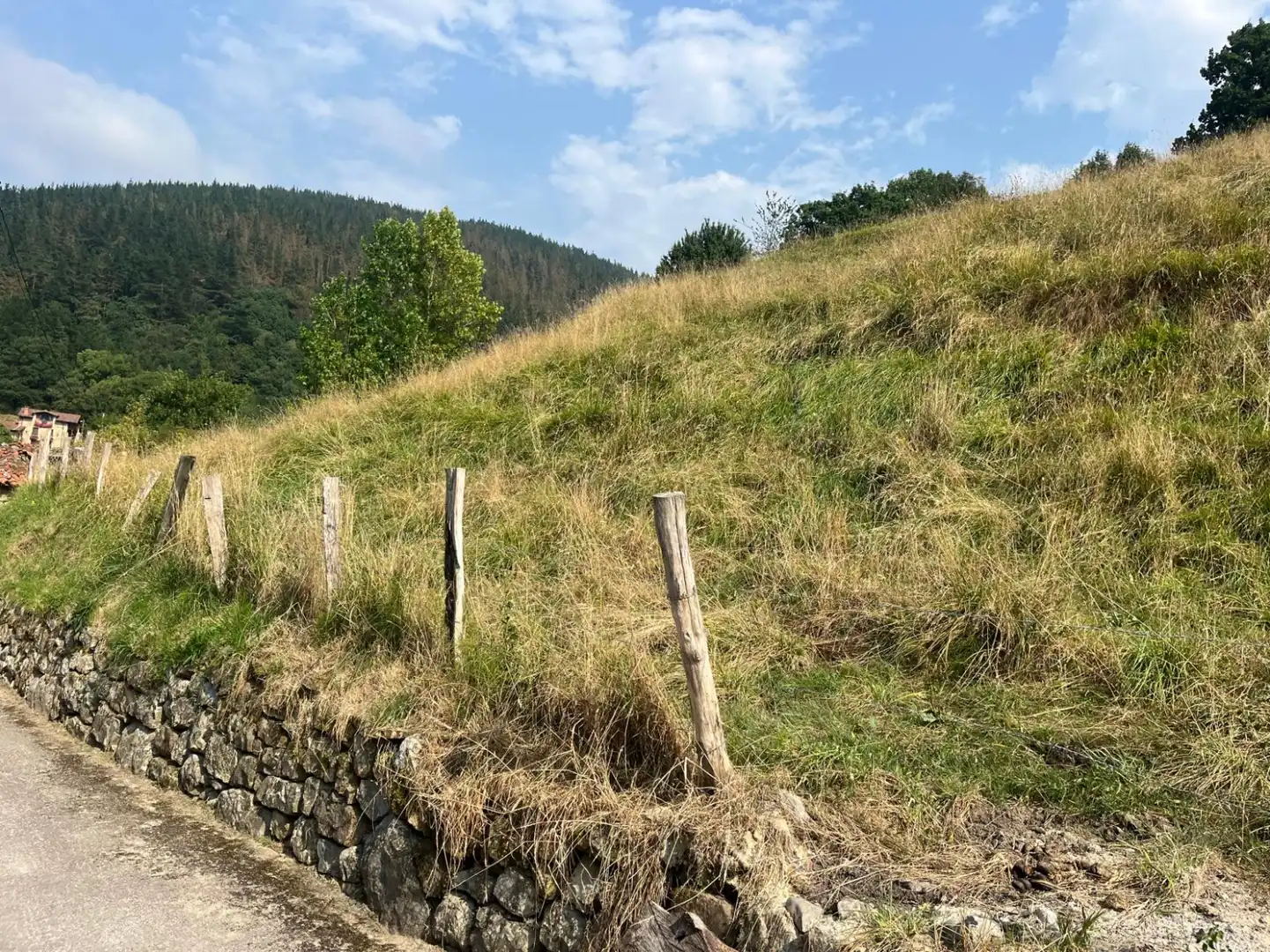 Wohnbaugrundstück zum Verkauf in San Miguel de Luena - SAN MIGUEL DE LUENA, imagen 9