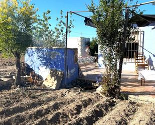 Exterior view of House or chalet for sale in Alguazas  with Private garden