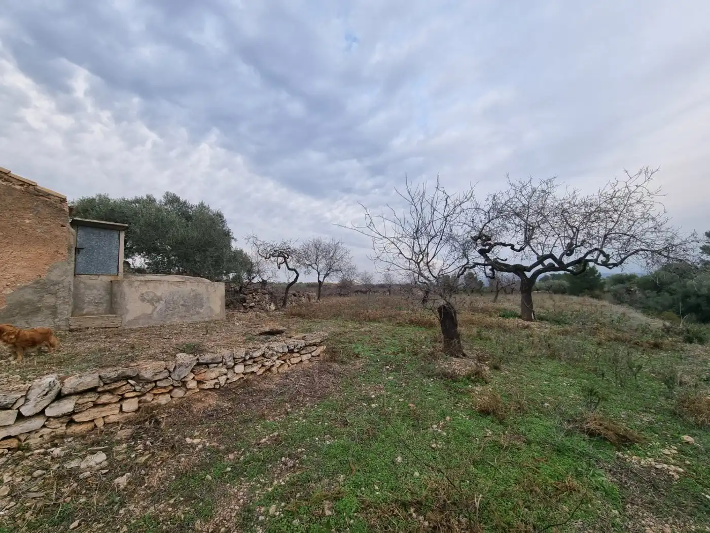 Finca rústica en venda en El Perelló