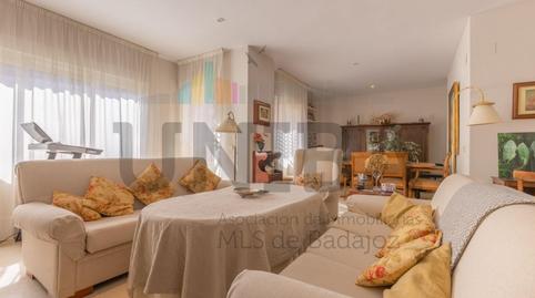 Foto 4 de Piso en venta en Avenida Avenida de Sinforiano Madroñero, Valdepasillas - La Paz - Huerta Rosales, Badajoz