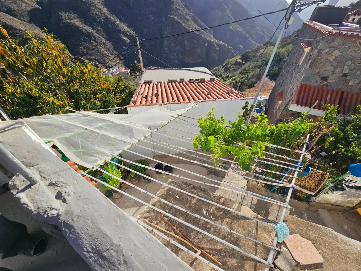 Vista exterior de Finca rústica en venta en Tejeda
