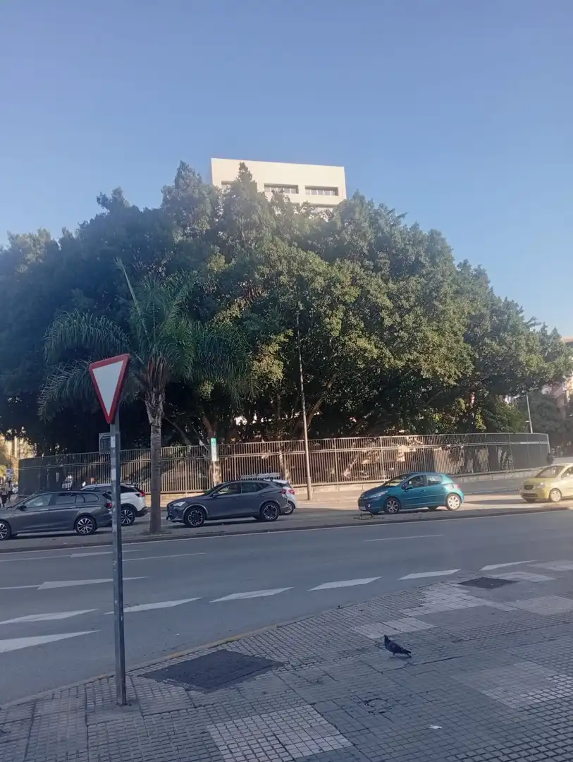 Local comercial en alquiler en AURORA 51, imagen 19
