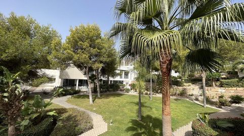 Foto 5 de Casa adosada de alquiler en Sierra Blanca, Marbella