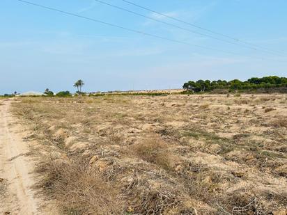 Land for sale in Elche / Elx