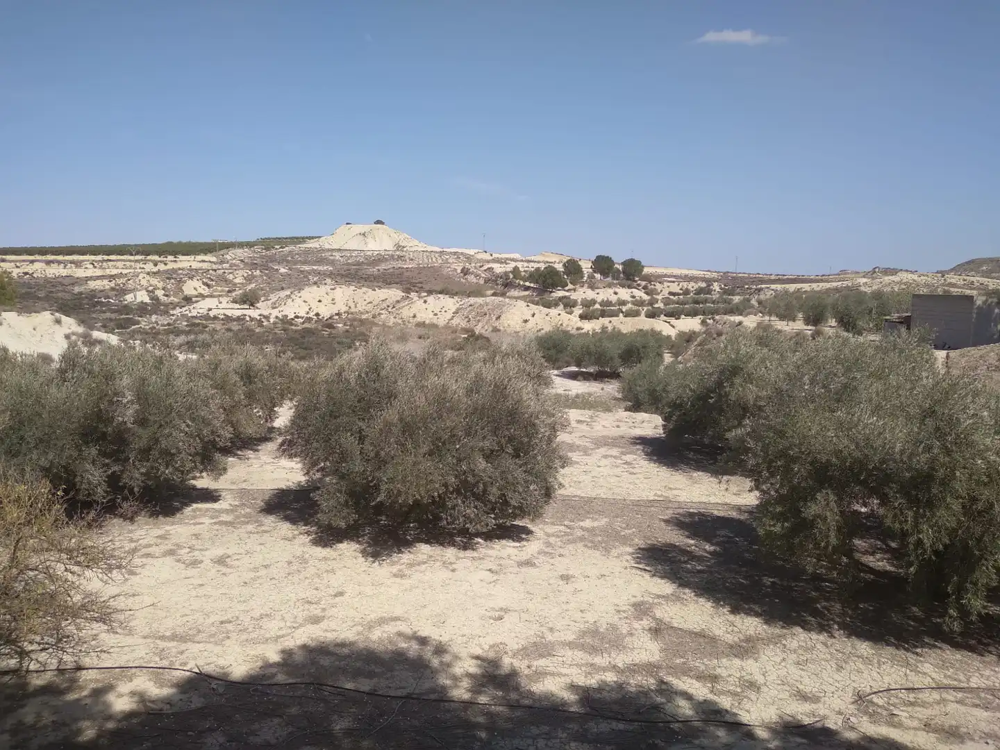 Terreni e lotti in vendita a Campos del Río, imagen 10