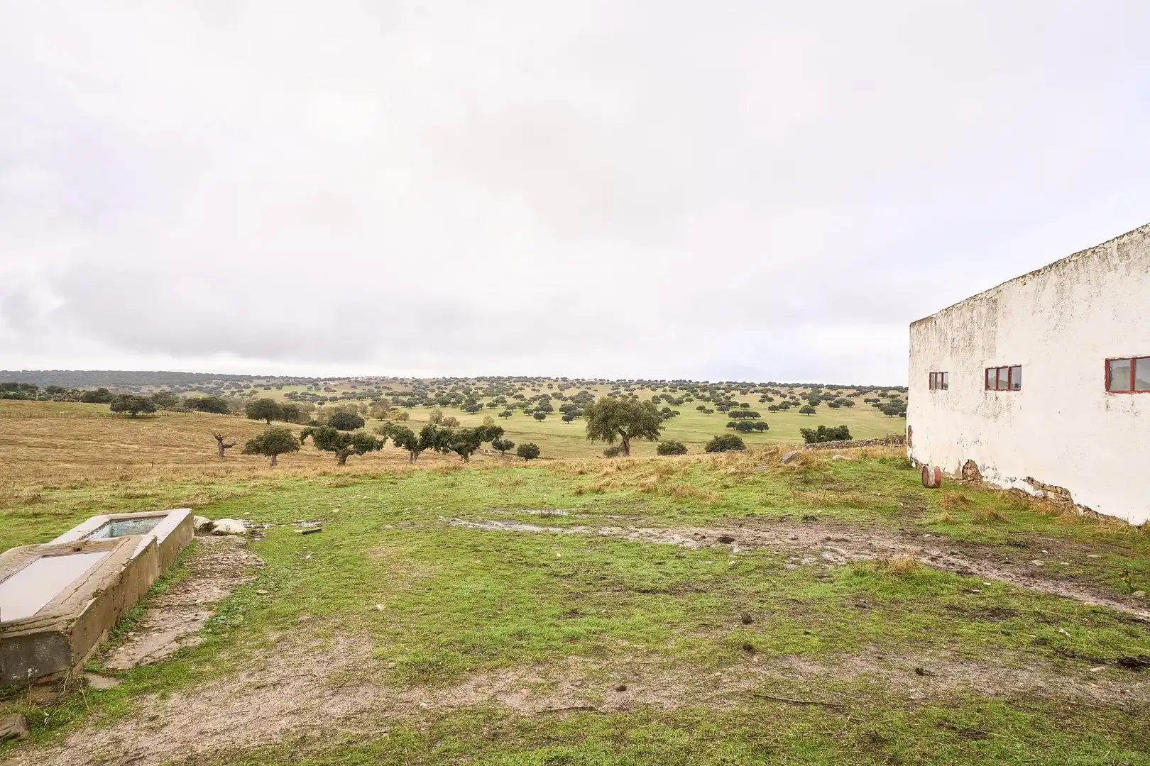 Finca rústica en venta en Horcajo Medianero