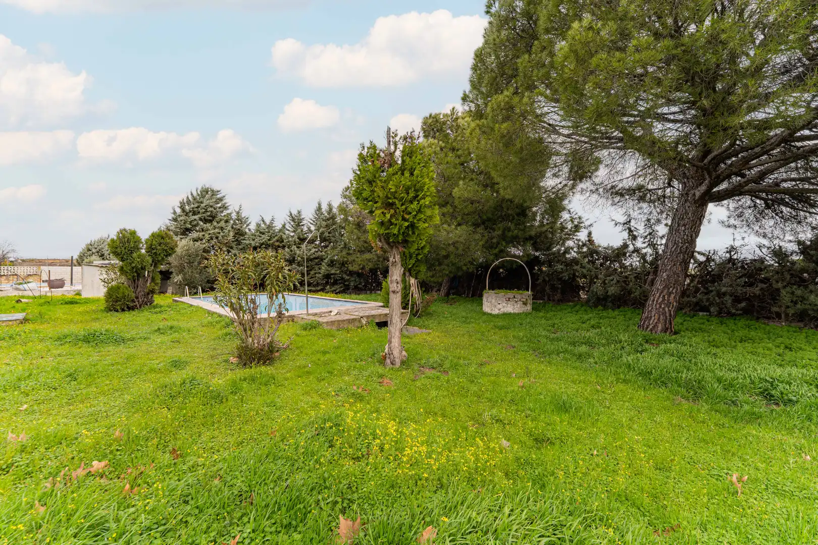 Jardí de Residencial en venda en El Álamo