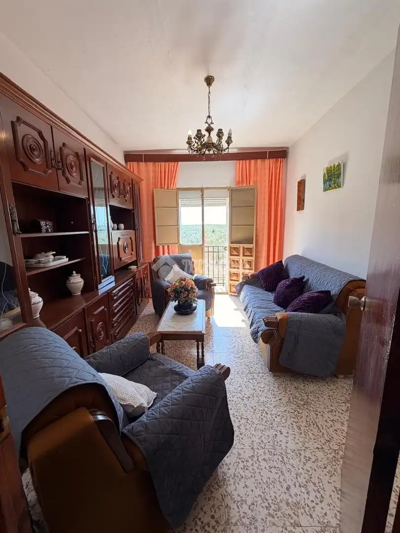 Detached homes for sale in Centro