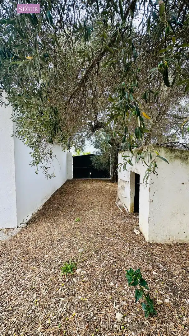 Detached house with garden for sale in Carretera de Barrio Nuevo, imagen 4