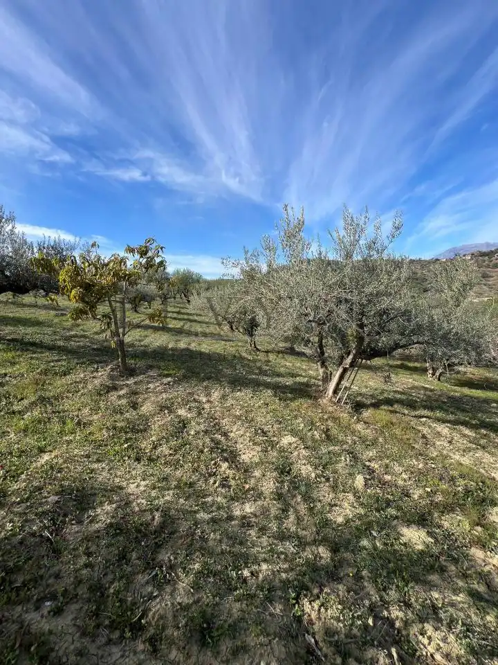 Terreno rustico in vendita a Guaro, imagen 2