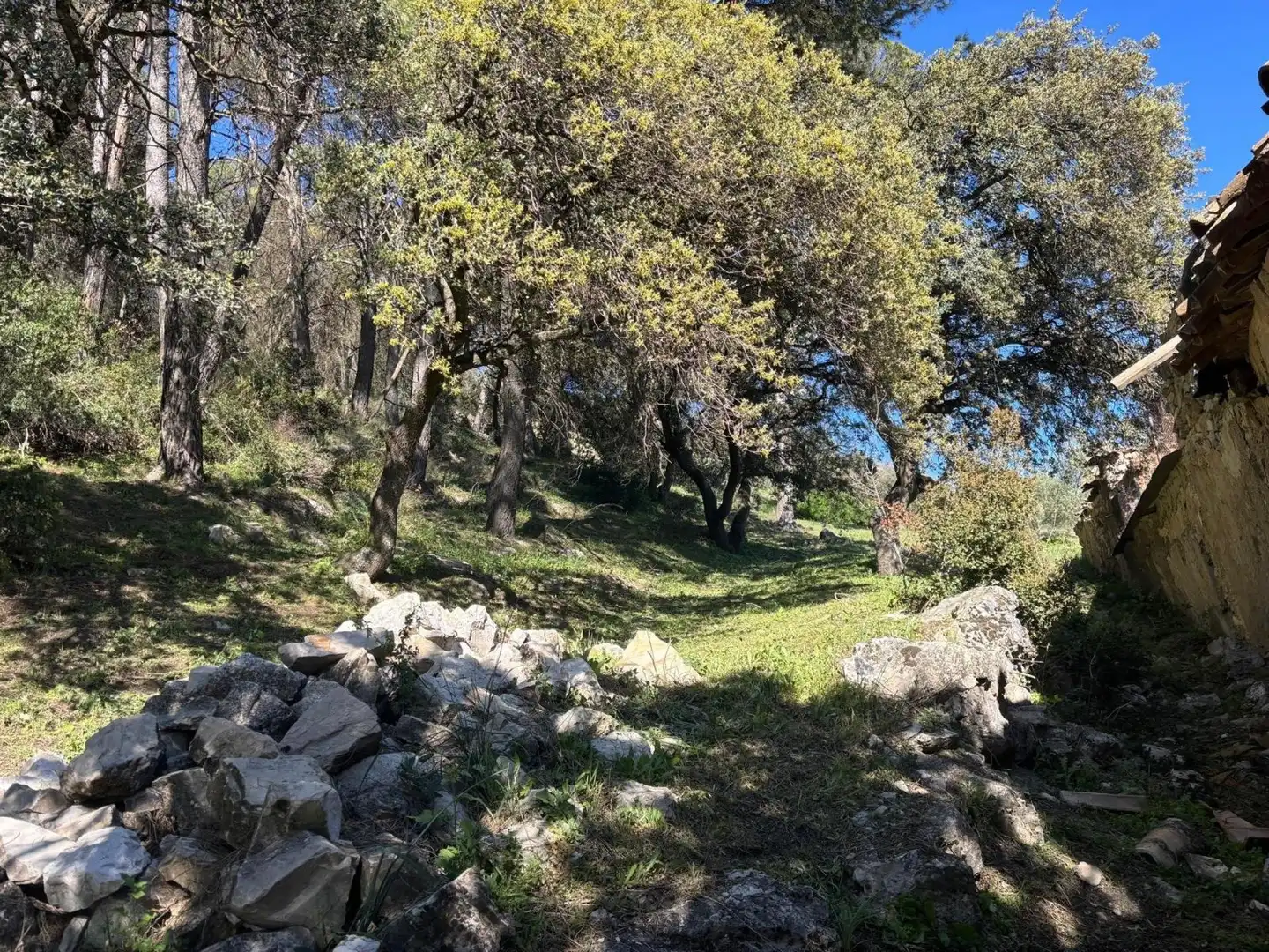 Terrain rustique à vendre à Loja, imagen 7